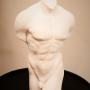 Man Sculpture Torso
